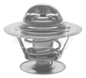 Thermostat, coolant (BTS414.89)