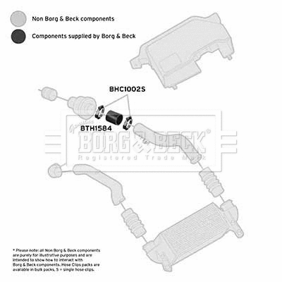 Charge Air Hose (BTH1584)