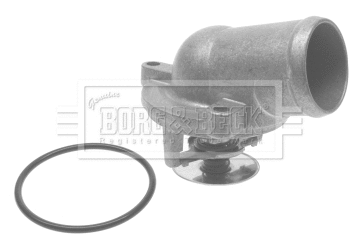 Thermostat, coolant (BTS291.87)