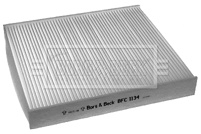 Filter, cabin air (BFC1134)