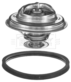 Thermostat, coolant (BBT032)