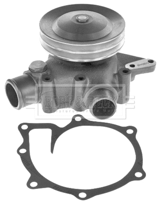 Water Pump, engine cooling (BWP32729)