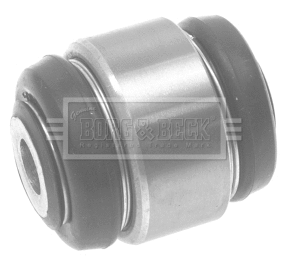 Mounting, control/trailing arm (BSK6017)