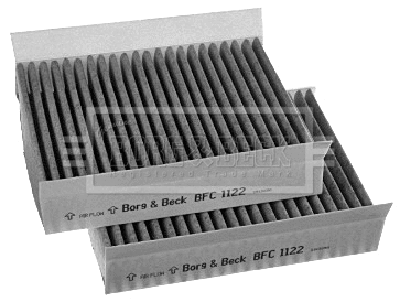 Filter, cabin air (BFC1122)