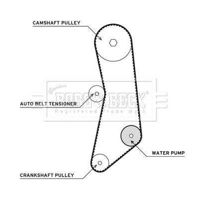 Water Pump & Timing Belt Kit (BTW1024)