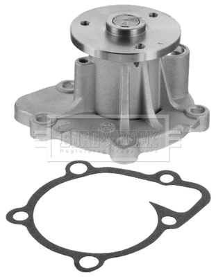 Water Pump, engine cooling (BWP2336)