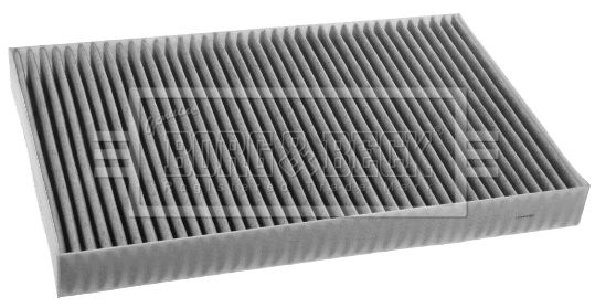 Filter, cabin air (BFC1225)