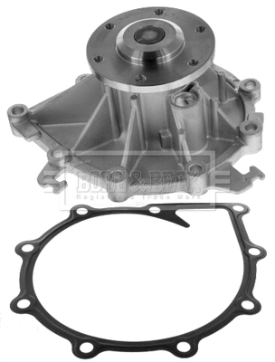 Water Pump, engine cooling (BWP32690)