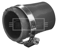 Charge Air Hose (BTH1596)