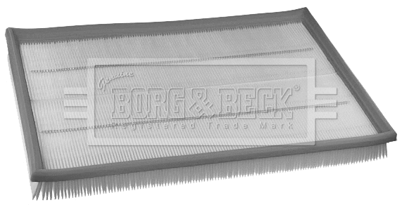 Air Filter (BFA2396)