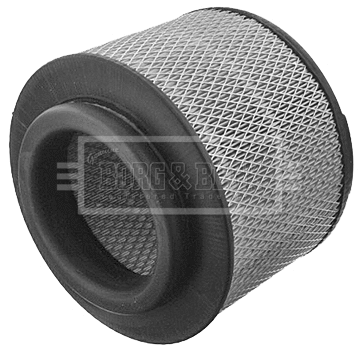 Air Filter (BFA2107)