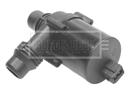 Auxiliary Water Pump (cooling water circuit) (BWP3001)