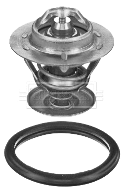 Thermostat, coolant (BBT442)