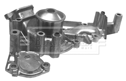 Water Pump, engine cooling (BWP1695)