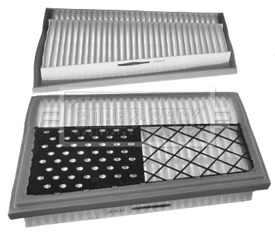 Air Filter (BFA2246)