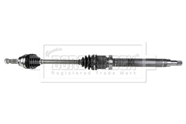 Drive Shaft (BDS1008)