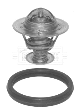 Thermostat, coolant (BBT065)