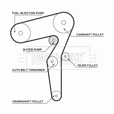 Water Pump & Timing Belt Kit (BTW1021)