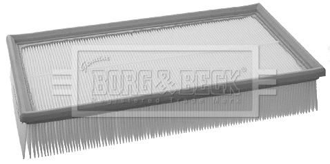 Air Filter (BFA2202)