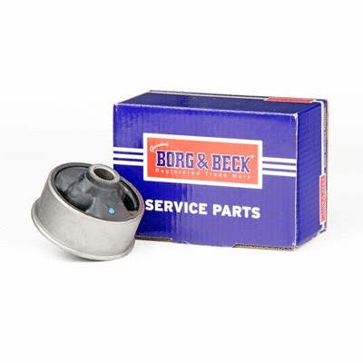 Mounting, control/trailing arm