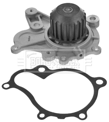 Water Pump, engine cooling (BWP2175)