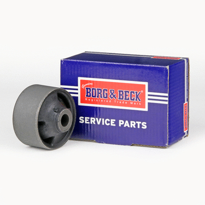 Mounting, control/trailing arm