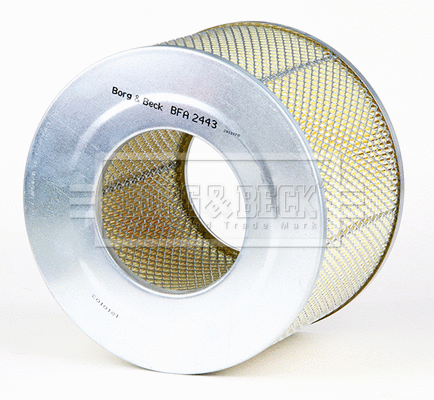 Air Filter (BFA2443)