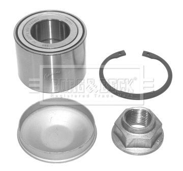 Wheel Bearing Kit (BWK909)