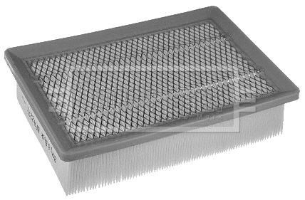 Air Filter (BFA2273)