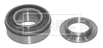 Wheel Bearing Kit (BWK220)