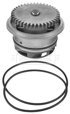 Water Pump, engine cooling (BWP2225)