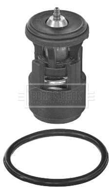 Thermostat, coolant (BBT068)
