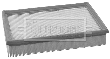Air Filter (BFA2070)