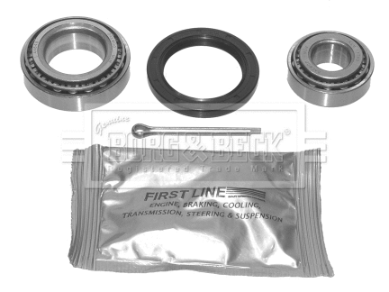 Wheel Bearing Kit (BWK201)