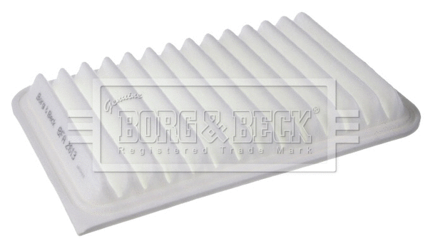 Air Filter (BFA2613)