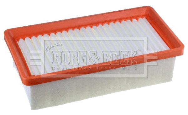 Air Filter (BFA2599)
