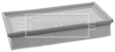 Air Filter (BFA2115)