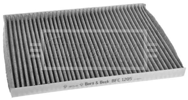 Filter, cabin air (BFC1205)