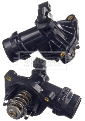Thermostat, coolant (BBT131)
