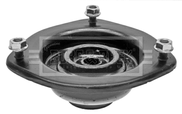 Suspension Strut Support Mount (BSM5249)