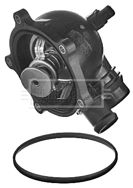 Thermostat, coolant (BBT387)