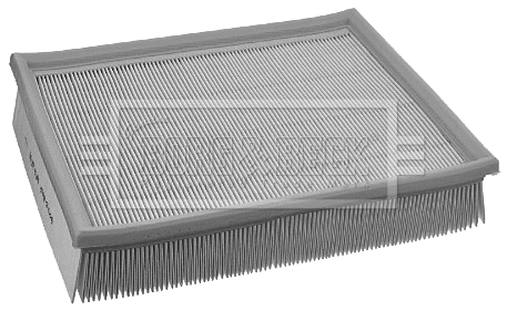 Air Filter (BFA2038)
