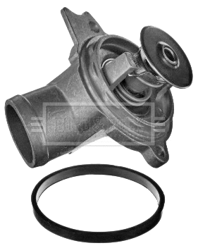 Thermostat, coolant (BBT195)