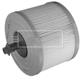 Air Filter (BFA2215)