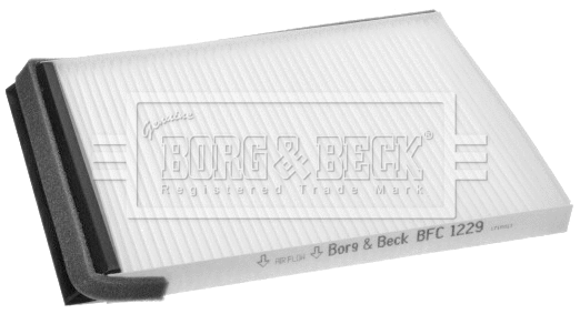 Filter, cabin air (BFC1229)