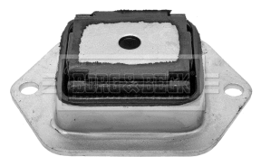 Bushing, axle bracket (BSK6924)