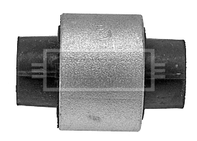 Mounting, control/trailing arm (BSK7194)