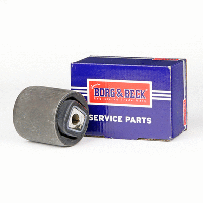 Mounting, control/trailing arm