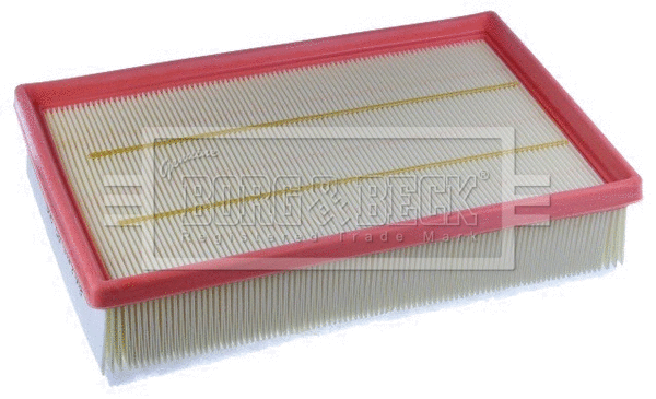 Air Filter (BFA2586)