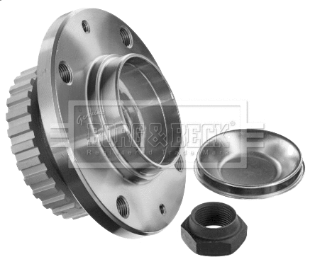 Wheel Bearing Kit (BWK730)